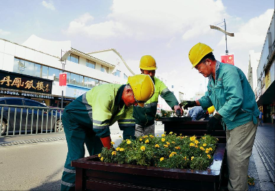 图：工作人员正在填放草花。