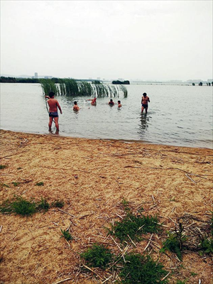 图：市民在昆承湖水域野泳。